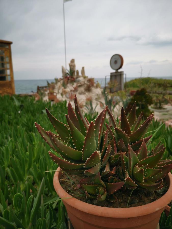 Anastasia Apartment Agia Marina  Екстериор снимка