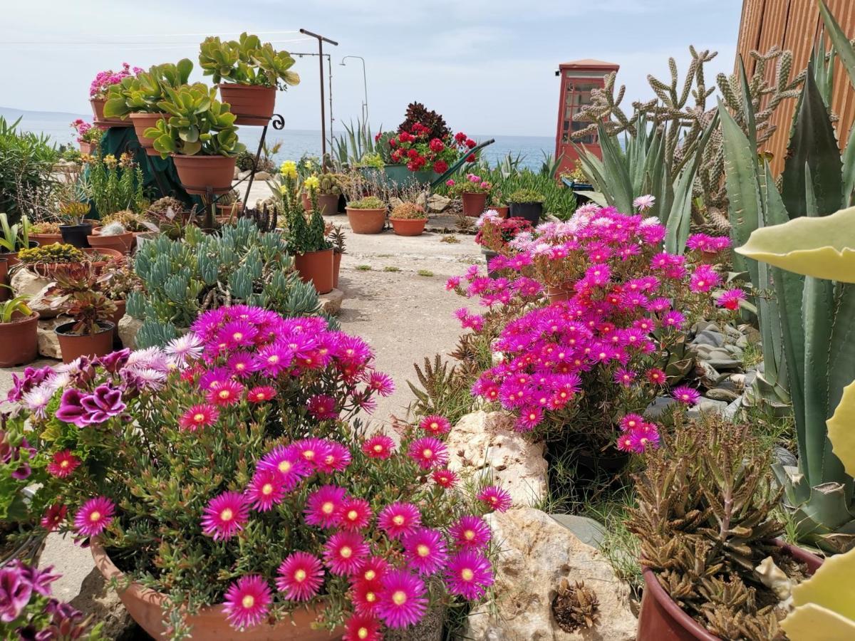 Anastasia Apartment Agia Marina  Екстериор снимка